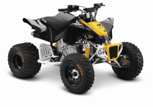   Can-Am DS 90 X 
