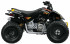   Can-Am DS 90 X 
